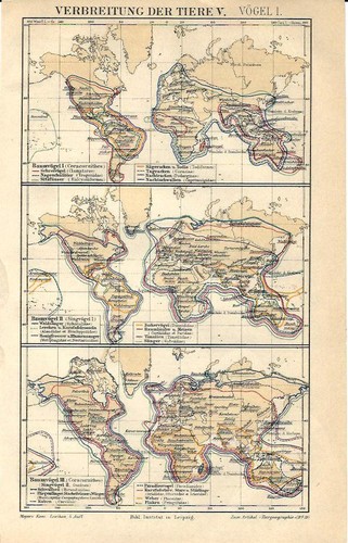 Carta geografica antica