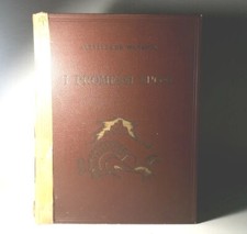 I PROMESSI SPOSI DI ALESSANDRO