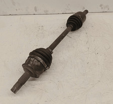 46308260 Semialbero ant