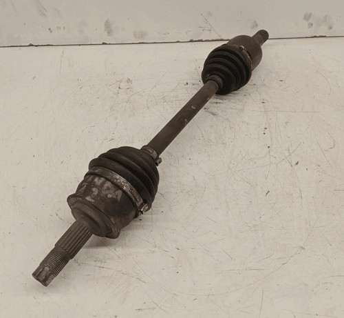 46308260 semialbero ant - semialbero,