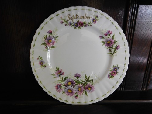 Royal albert flower - albert, the