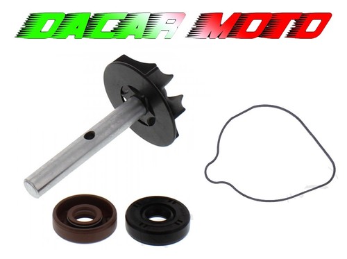 Kit revisione guarnizione - kit,