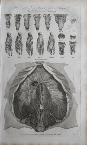 1791 datato antico - 1791,