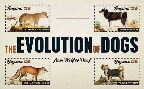 Foglio francobolli evolution - foglio,