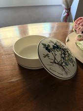 Villeroy Boch botanica scatola
