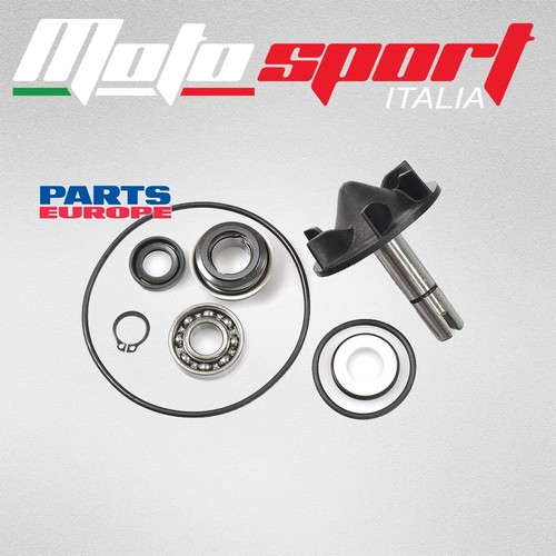 Kit revisione pompa acqua - revisione,