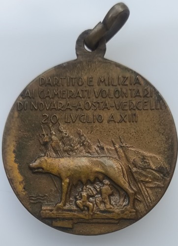 Medaglia volontari campagna - medaglia,