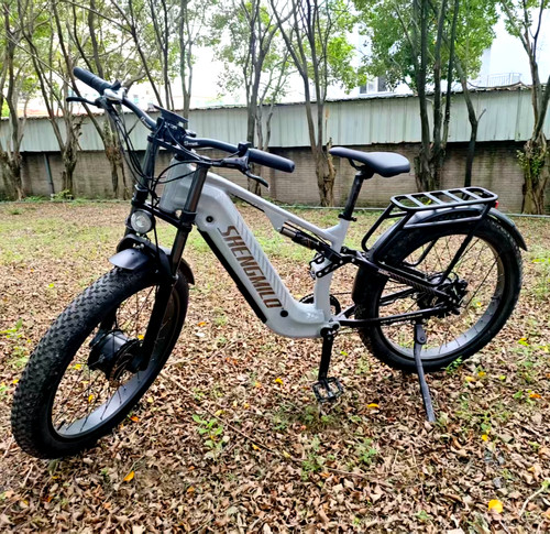 Bicicletta elettrica doppio