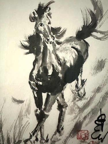 Quadro cavallo acquerello - quadro,
