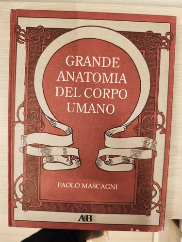 Grande anatomia del - , corpo