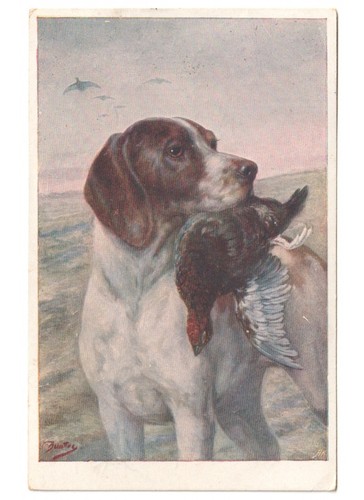 1923 antica cartolina cane - , da