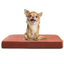 Cuccia per Cani Cuscino