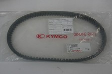 Cinghia trasmissione