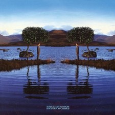 Bruce Dickinson Skunkworks