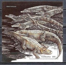 Animali coccodrilli tanzania - coccodrilli,
