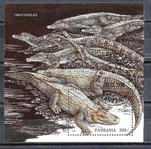 Animali coccodrilli tanzania - coccodrilli,