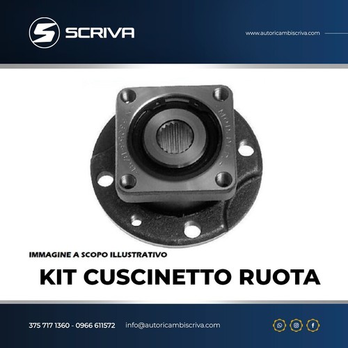 Mozzo cuscinetto ruota - cuscinetto,