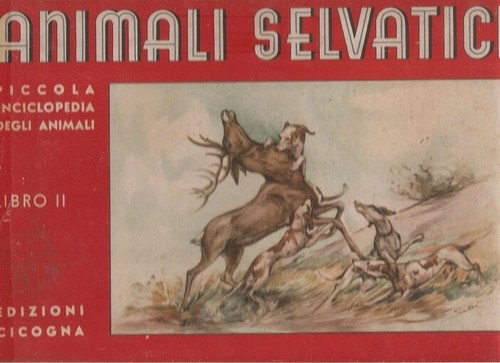 Libro animali selvatici - libro,