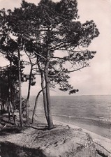 17 ILE D OLERON SAINT TROJAN