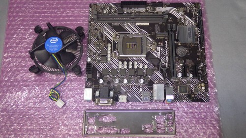 Scheda madre asus - madre, prime