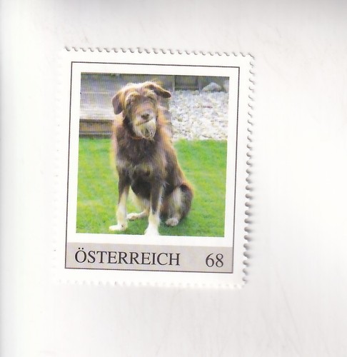 Francobollo austria cani - francobollo, pm