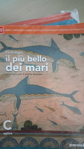 Libri liceo scientifico - libri,