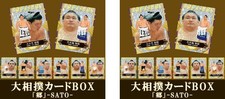 Prevendita Set di 2 Carte Sumo