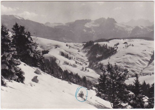 Alpe siusi bolzano - alpe, di