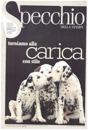 Rivista specchio della stampa - specchio,