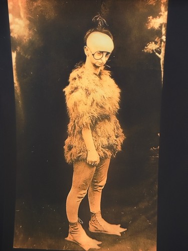 Vintage negativo koo - vintage, koo-koo