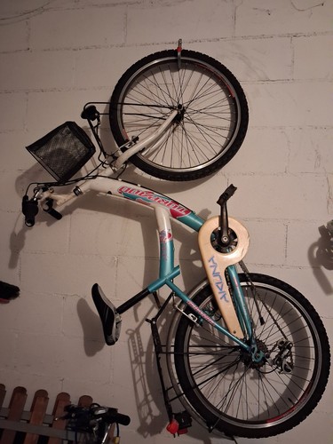 bicicletta
