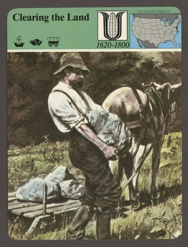 Clearing the land story - the,