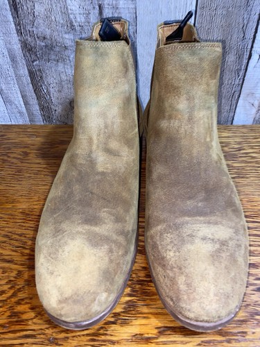Shoe the bear - shoe,
