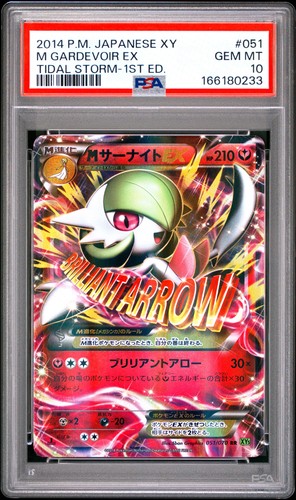 2014 pokemon giapponese - 2014,