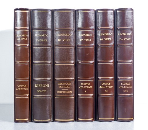 Serie 6 libro - ⚜️, leonardo