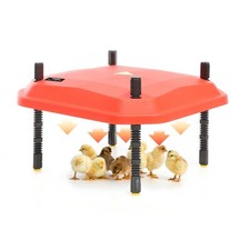 Fudajo Chioccia artificiale