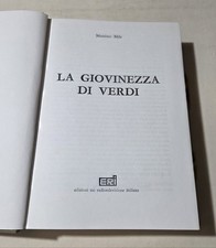 La giovinezza di Verdi