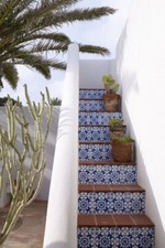 (LOTTO) Piastrelle per pavimenti in maiolica siciliana mediterranea originali dipinte a mano