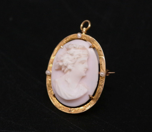 Spilla pendente cammeo rosa - spilla/pendente,