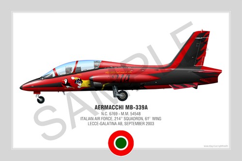 Aermacchi 339a squadron - aermacchi,