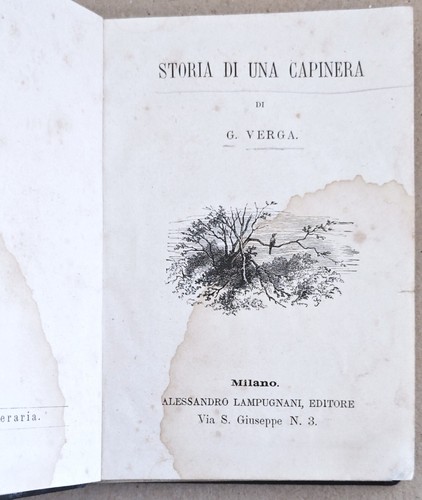 Verga storia una capinera - -,