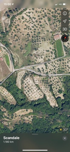 Terreno agricolo