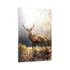 Quadro su Vetro 70x100cm Luce