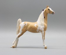 Louisville Palomino Pinto