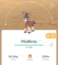 Pokemon Go Mudbray - Pampuli