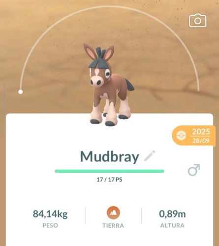 Pokemon mudbray pampuli - -,