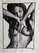 Prezioso quadro punto croce