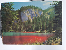 🟢 Vintage Cartoline Lago di