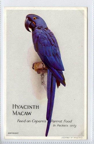 Capern bird seed - capern,