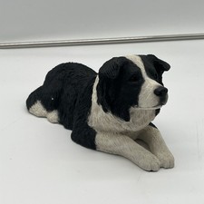 VTG Sandicast Border Collie